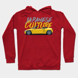 Japanese Culture Hoodie